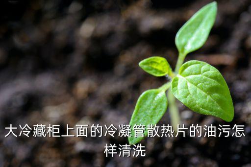 大冷藏柜上面的冷凝管散热片的油污怎样清洗