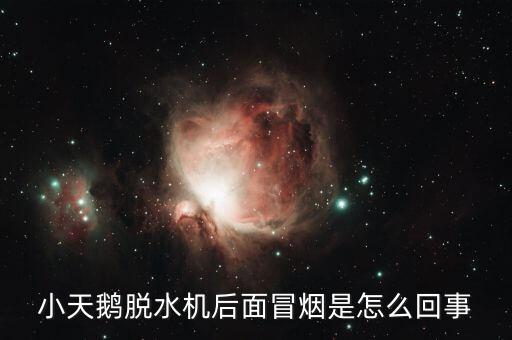 小天鹅洗衣机冒烟是怎么回事，小天鹅脱水机后面冒烟是怎么回事