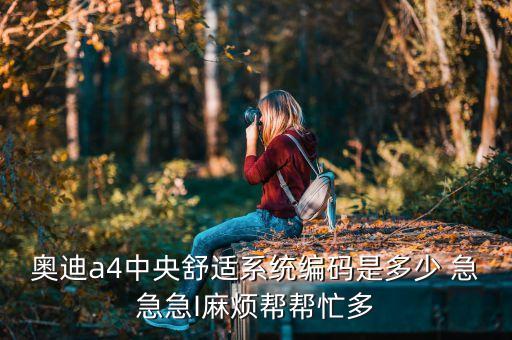 奥迪a4中央舒适系统编码是多少 急急急I麻烦帮帮忙多