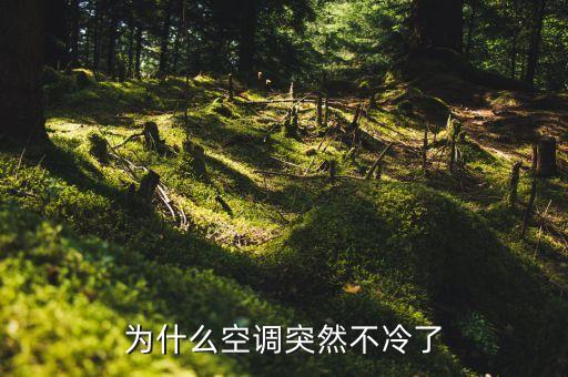 为什么空调突然不冷了