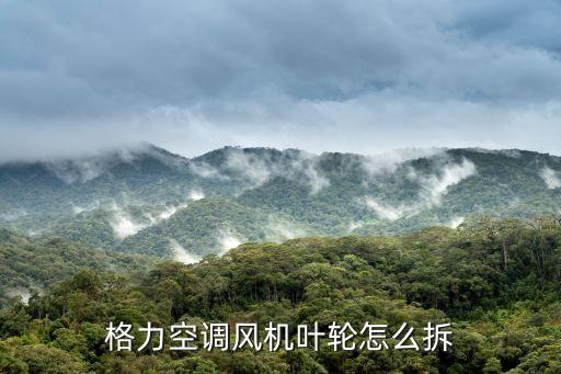 格力空调怎么换风轮，格力空调风机叶轮怎么拆