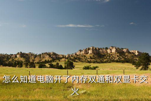 怎么知道电脑开了内存双通和双显卡交火