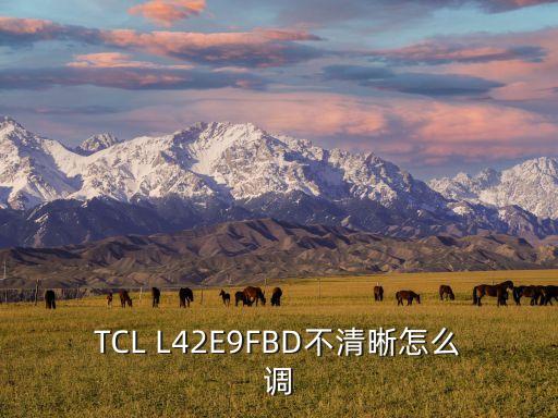 TCL L42E9FBD不清晰怎么调