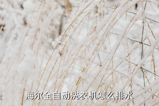 海尔全自动洗衣机怎么排水