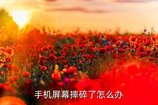 手机屏幕摔碎了怎么办