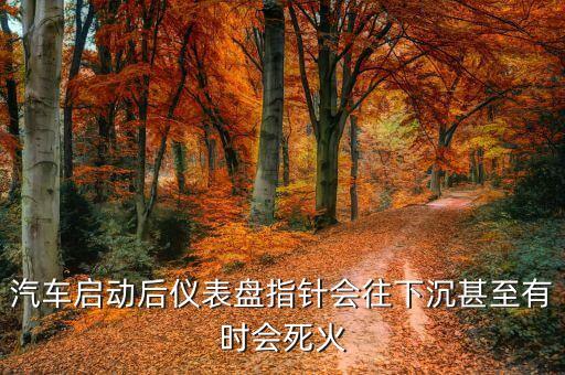 汽车启动后仪表盘指针会往下沉甚至有时会死火