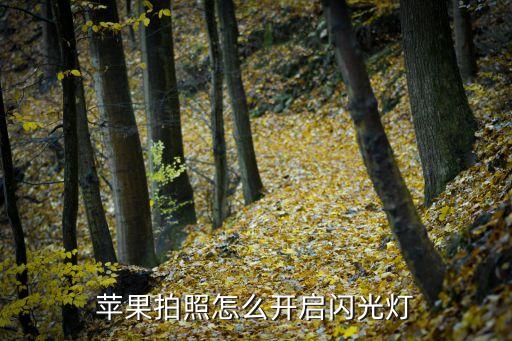 苹果照相闪光灯怎么开，iphone拍照闪光灯怎么开