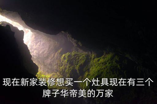 现在新家装修想买一个灶具现在有三个牌子华帝美的万家