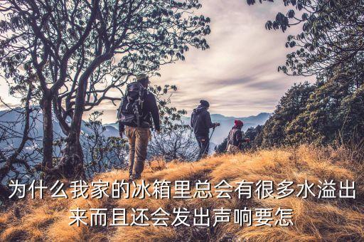 冰箱有流水声怎么办，怎么消除冰箱流动水的声音