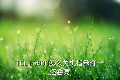 TCL E5800怎么关机指示灯一还会亮