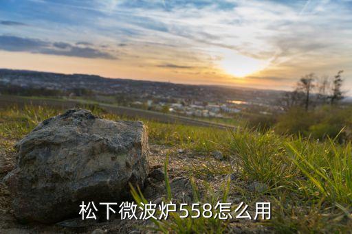 微波炉松下nngs585m 怎么使用，松下微波炉558怎么用
