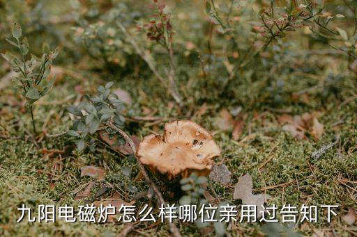 九阳电磁炉怎么样哪位亲用过告知下