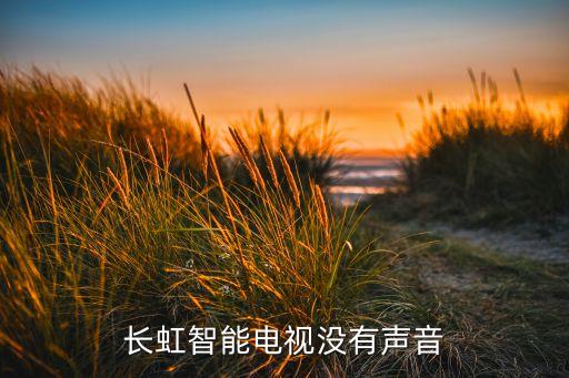 长虹智能电视没有声音