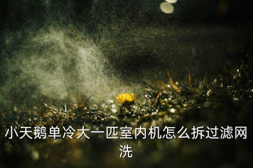 小天鹅单冷大一匹室内机怎么拆过滤网洗