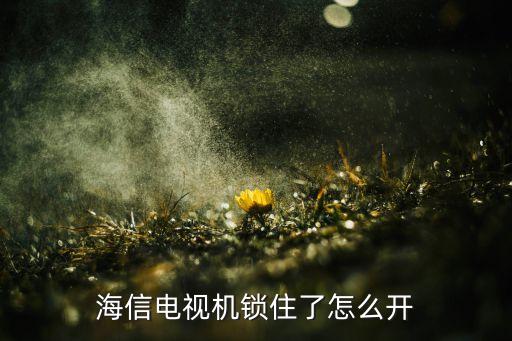 海信电视机锁住了怎么开