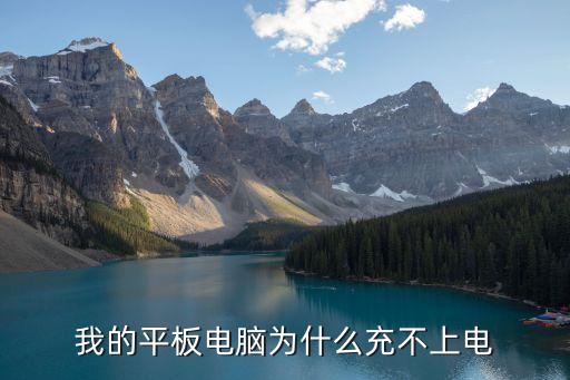 我的平板电脑为什么充不上电