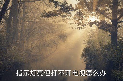 指示灯亮但打不开电视怎么办