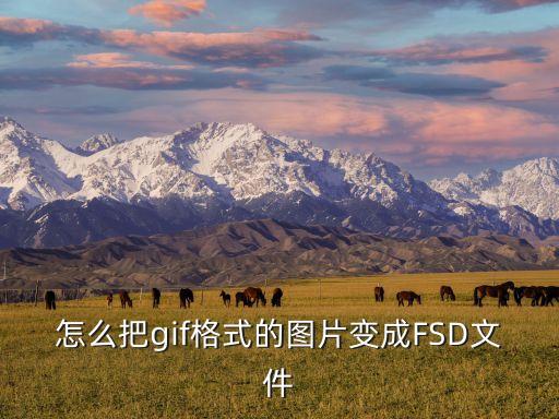 fsd 怎么用，避孕套延时环怎么用