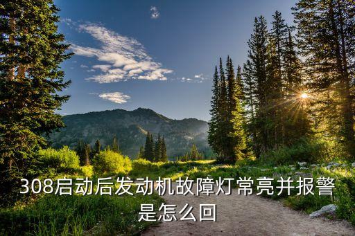308启动后发动机故障灯常亮并报警是怎么回