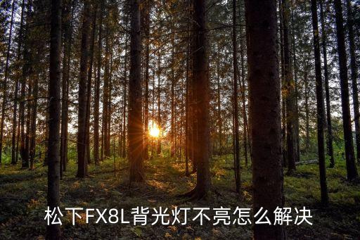 松下FX8L背光灯不亮怎么解决