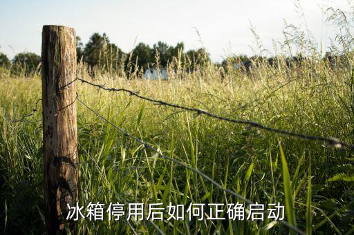 西门子冰箱如何重新启动，电冰箱强行停止后怎样启动