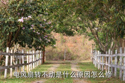 电风扇转不动是什么原因怎么修