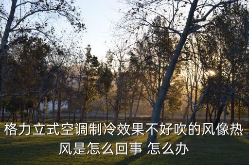 格力立式空调制冷效果不好吹的风像热风是怎么回事 怎么办