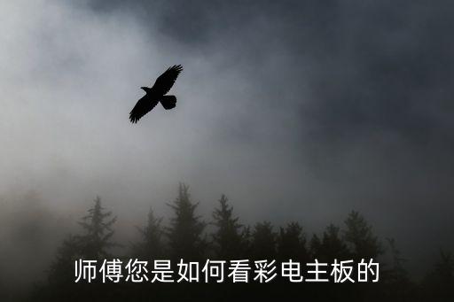 师傅您是如何看彩电主板的