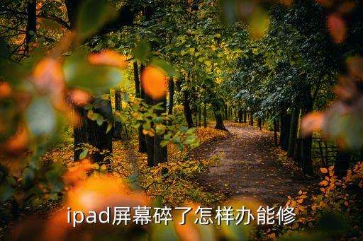 ipad屏幕碎了怎样办能修