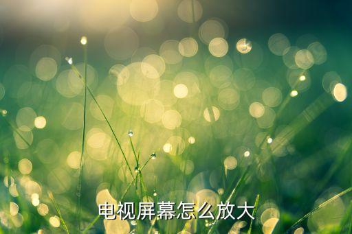 电视屏幕怎么放大
