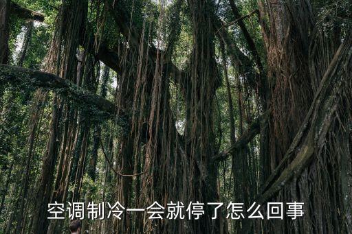 空调制冷一会就停了怎么回事