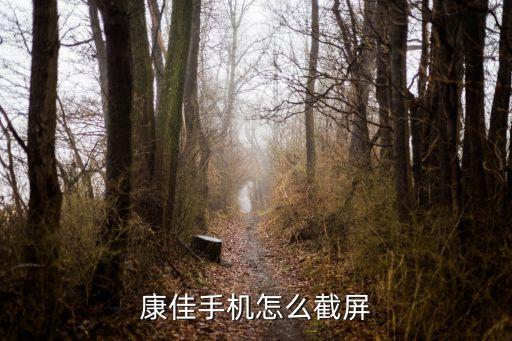 康佳手机怎么截屏