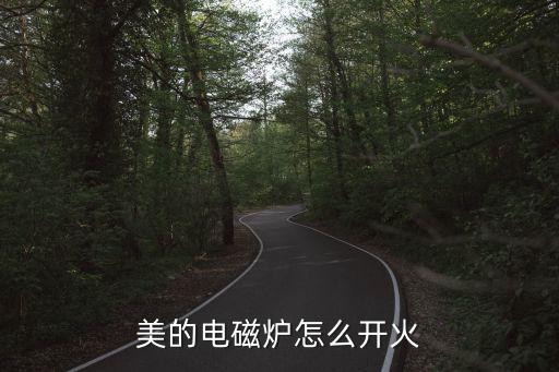 美的电磁炉怎么开火