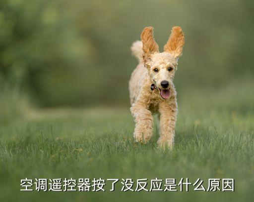 空调遥控器按了没反应是什么原因