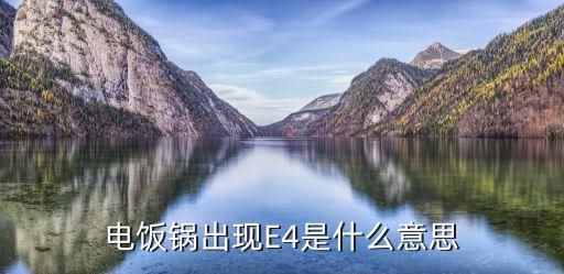 电锅显示e4是怎么了，电饭锅出现E4是什么意思