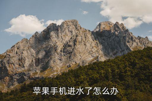 苹果手机进水了怎么办