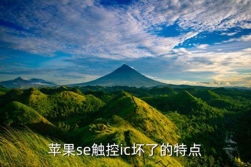 苹果se触控ic坏了的特点
