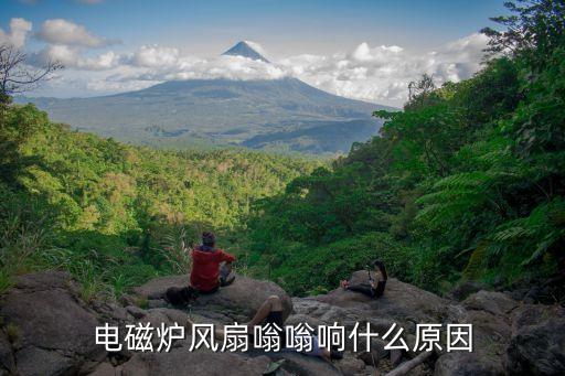 电磁炉风扇嗡嗡响什么原因