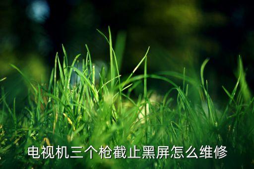 电视机视放截止怎么修，彩电视放截止怎么办