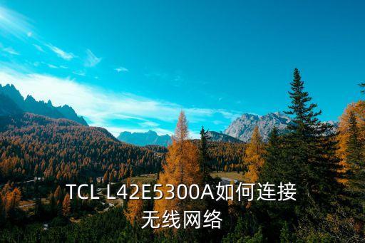 TCL L42E5300A如何连接无线网络