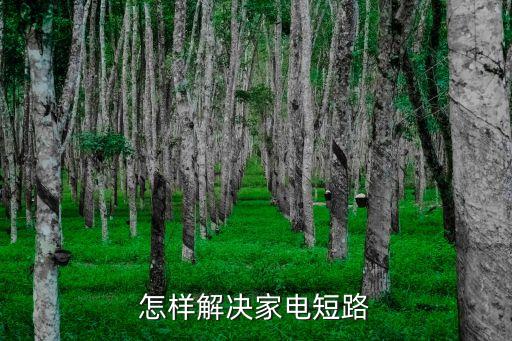怎样解决家电短路