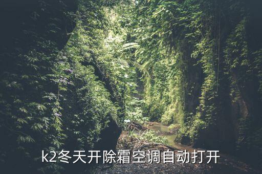 k2冬天开除霜空调自动打开