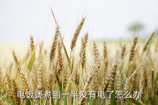 电饭煲煮到一半没有电了怎么办