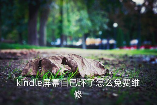 kindle如何维修，kindle3维修