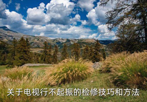 关于电视行不起振的检修技巧和方法