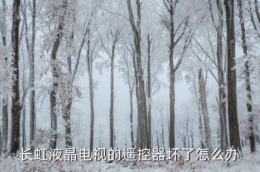 长虹液晶电视的遥控器坏了怎么办