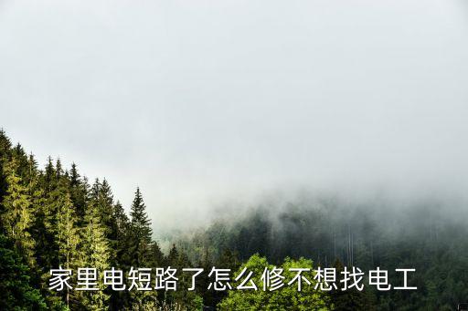 家里电短路了怎么修不想找电工