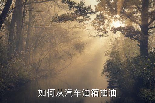 汽车怎么吸油，有什么办法能从车里面抽油的