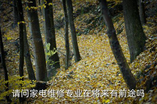 电器维修前景如何，谁知道电器维修行业前景如何