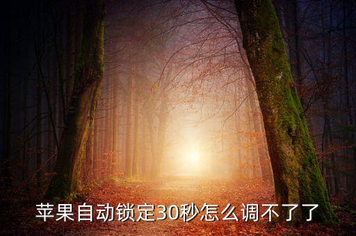 苹果自动锁定30秒怎么调不了了